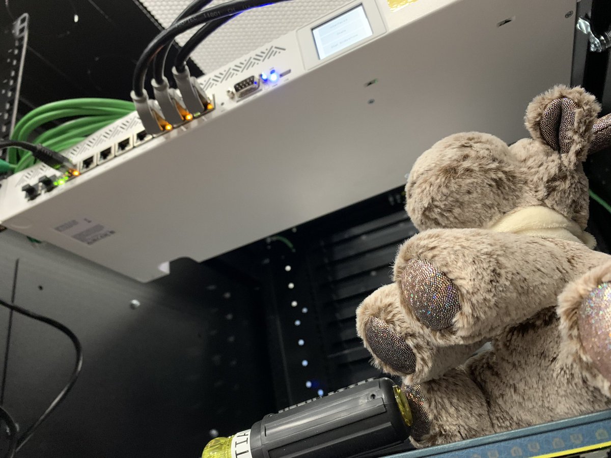 NetNinjaMoose's tweet photo. It’s been a while, but with thanks to @MyMooseTravels for helping out in the US! Las Vegas collocation facility was great! And another @mikrotik_com  installed as a router! #Cabling #MakePacketsGo #moosehands https://t.co/SNOE2ZSz01