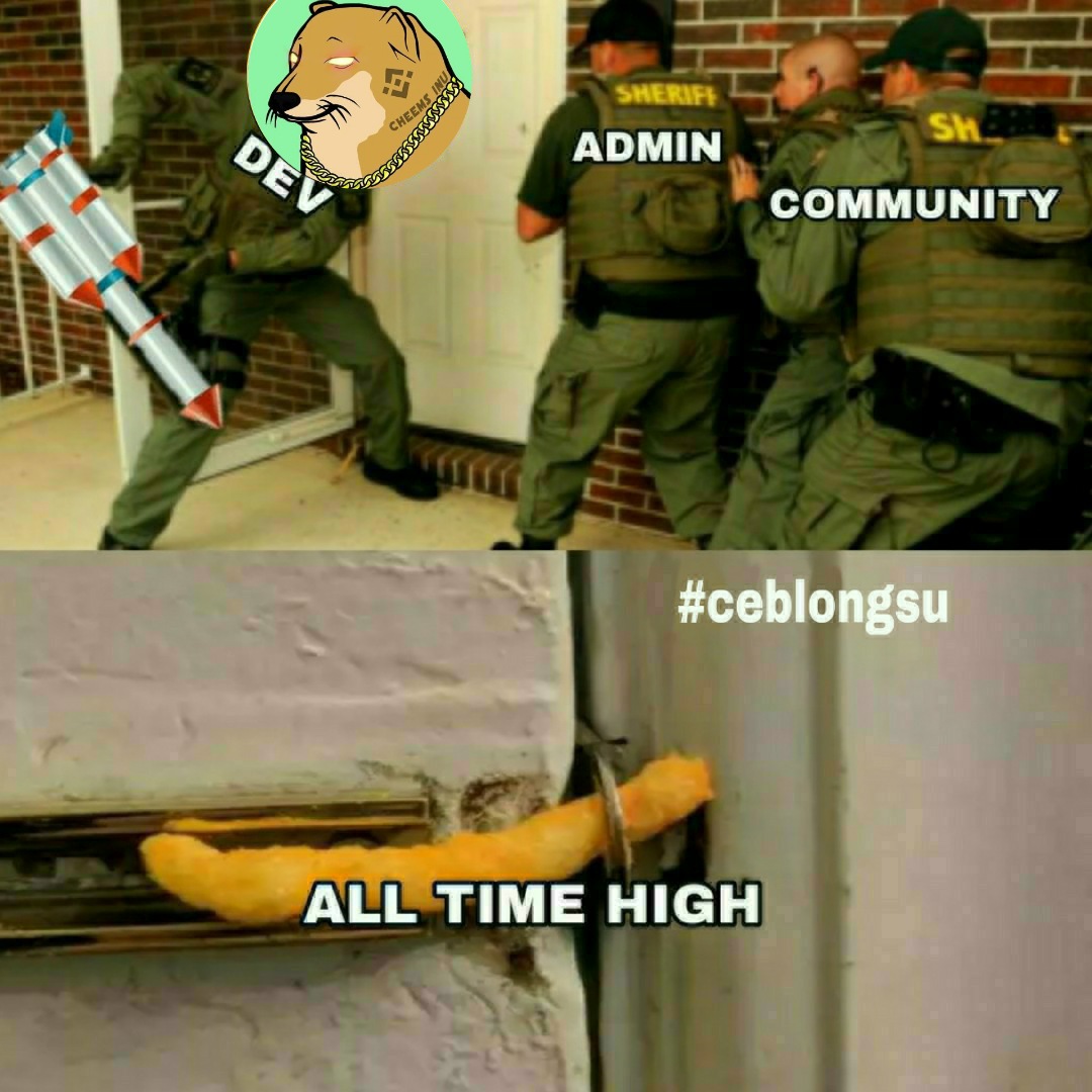 Pillh2's tweet photo. @cryptogems555 $CINU #CheemsInu    #BSC #BSCGem #GEM #cryptocurrency #Breakout #CryptoInvestment #gains #earlygem #100xgem #1000xgem #investing #Investment #cryptoart #NFTs #Trending #hehe 
#cheemsinu  #cheems https://t.co/lw3x7g8LLk