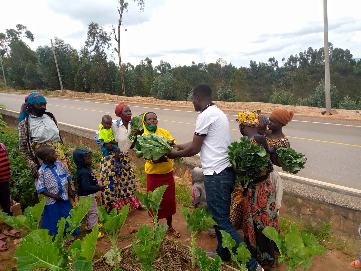 kopabinya's tweet photo. To day, at Kopabinya FSC  in @Nyamagabe supported by @USAIDHingaWeze ,we conducted an event of giving the best vegetables (SUKUMAWIKI) for six families living near FSC in order to fight against malnutrition in children. In 2022 FSC will help them to make Kitchen garden themselves https://t.co/gSpmOqpg6Y
