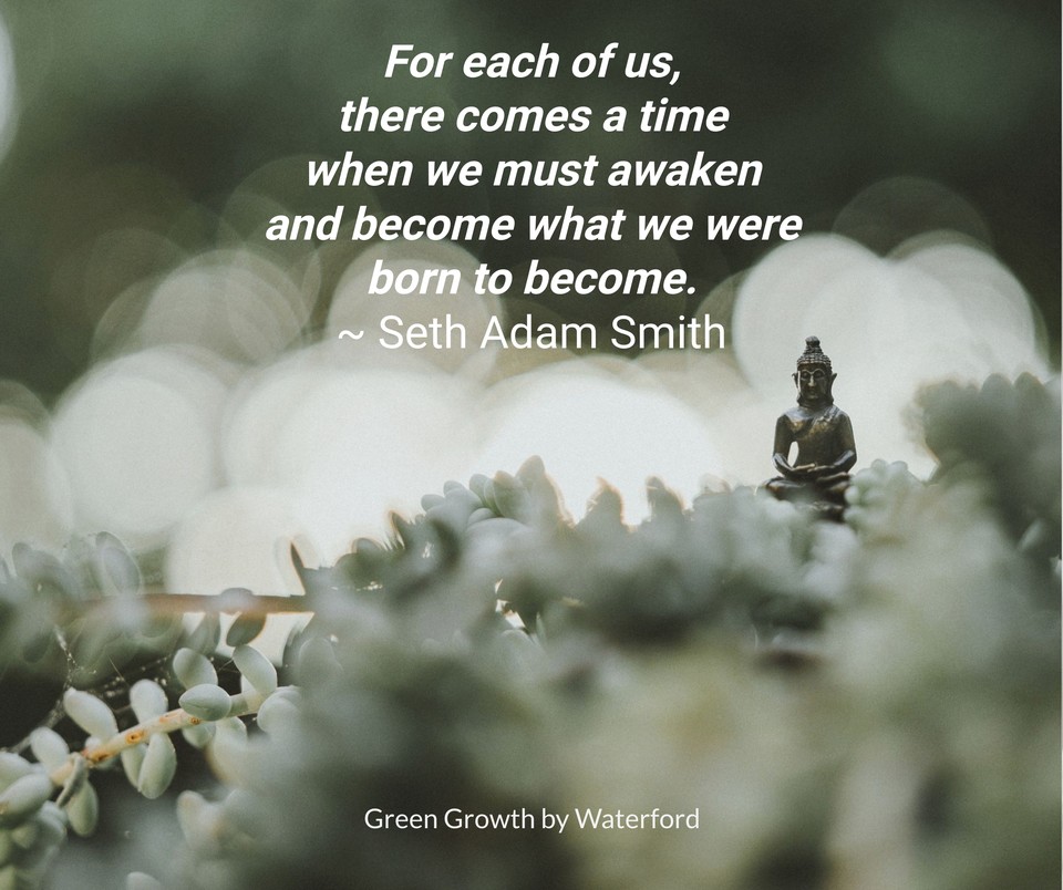 servelearngrow's tweet image. #rebirth
#greengrowthbywaterford
#greengrowth
#sustainability
#environment
#green
#livingwithpurpose