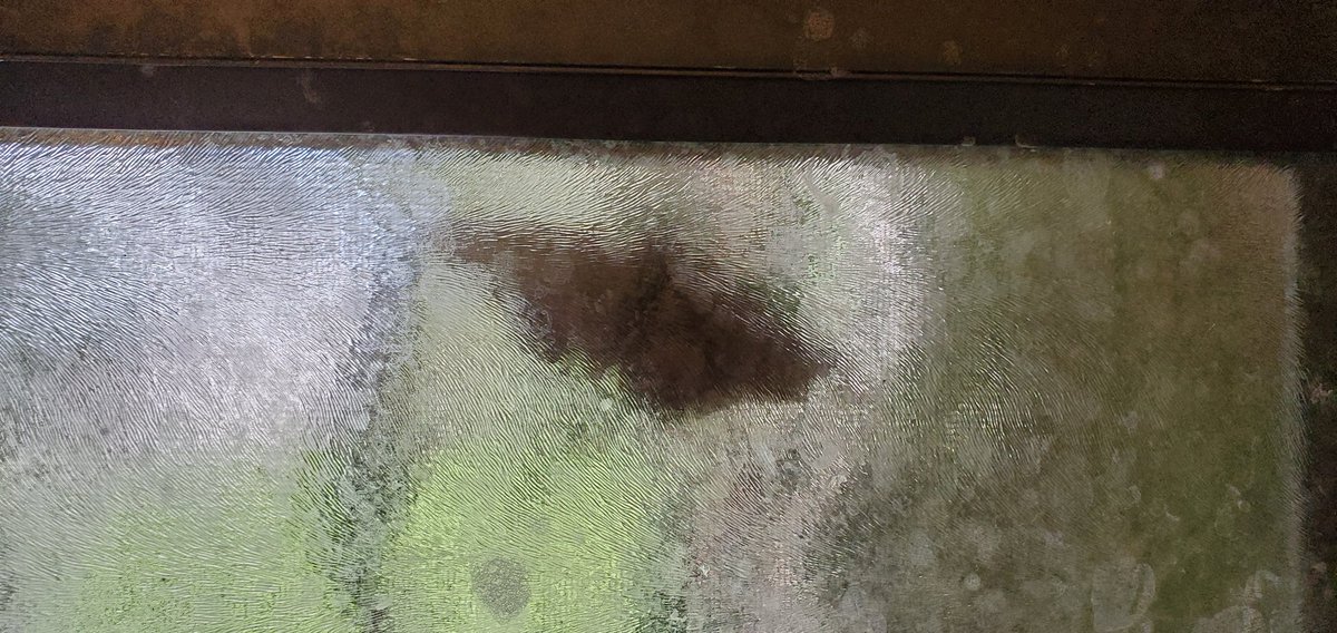 jclay010's tweet photo. When taking a shower and a black witch #moth decides to post on the window. https://t.co/bkKTJcj4gt