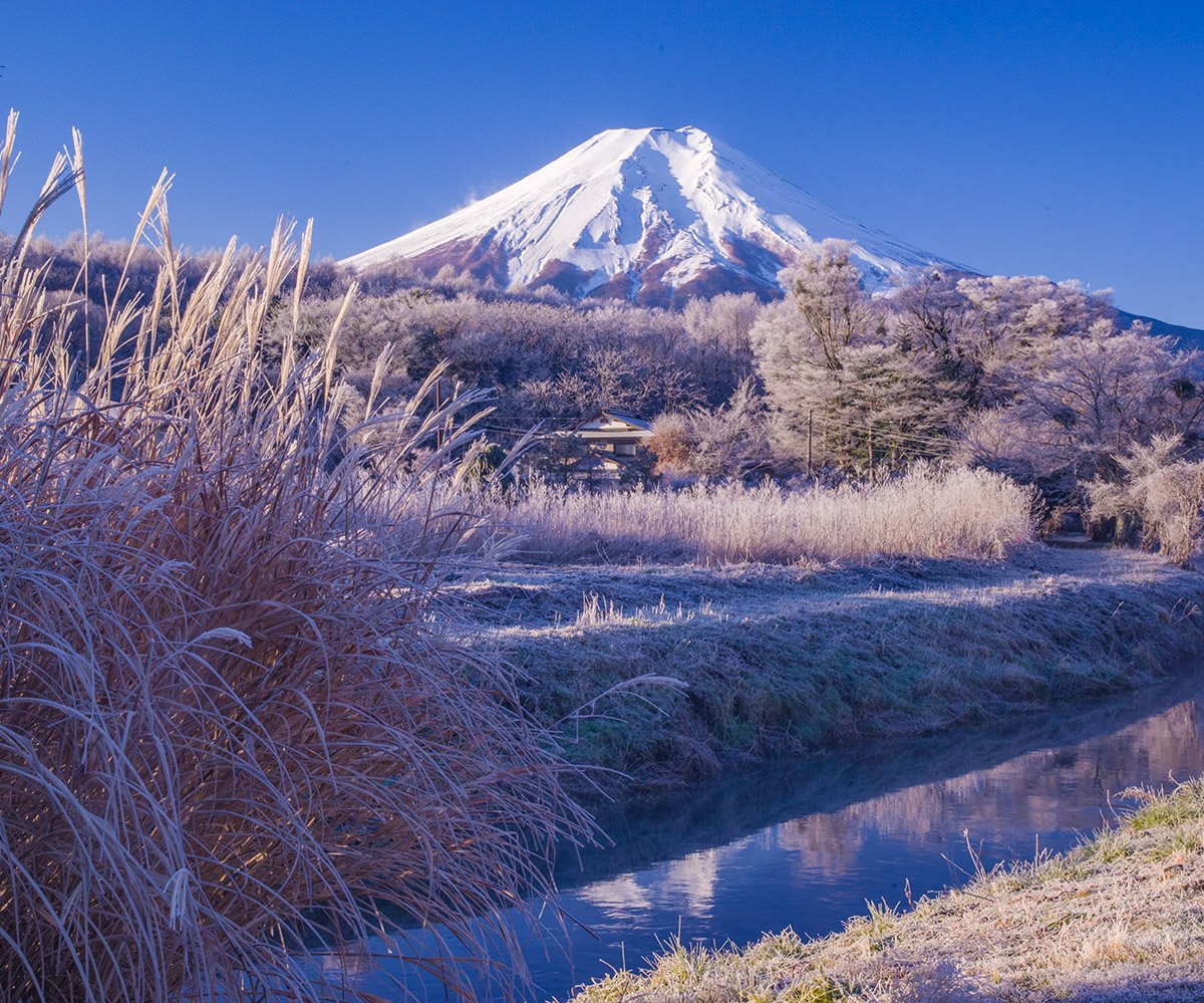 霧氷の朝 忍野村で先日撮影。