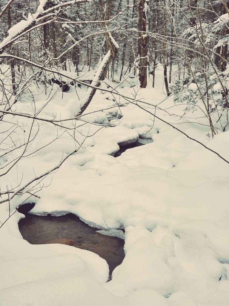 kruella_s's tweet photo. Mache en forêt  avec ma fille! ♥️ https://t.co/opfAlwBV4q