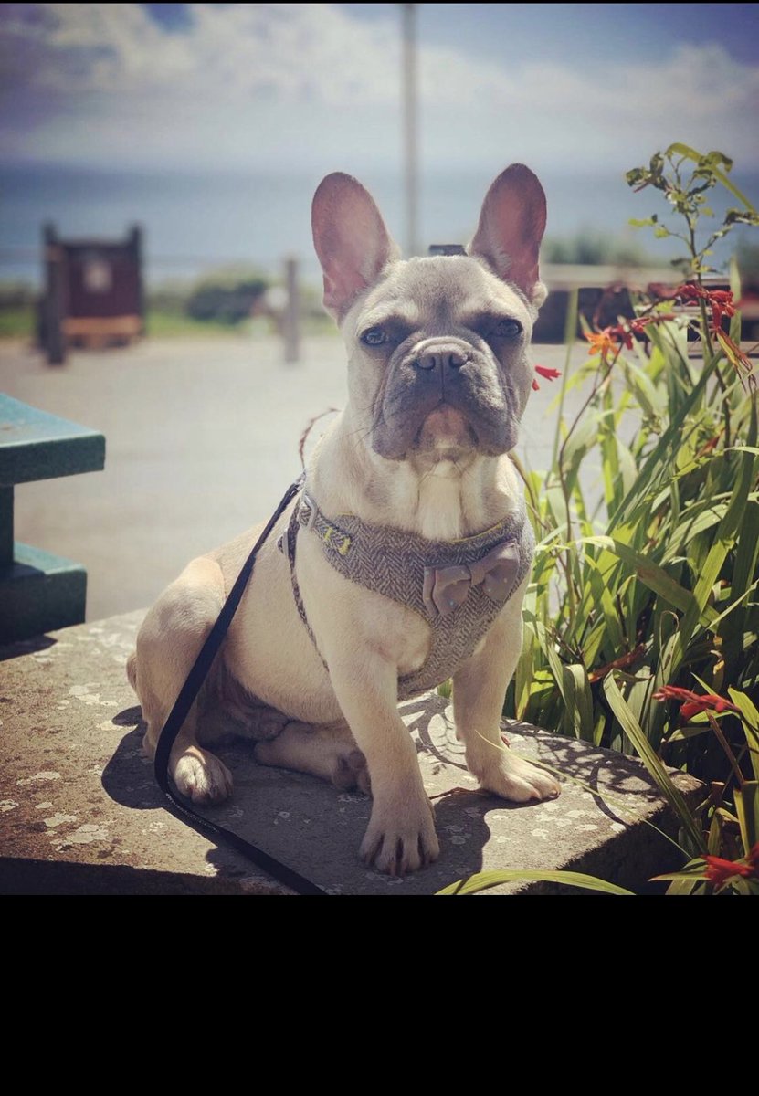 John Phillips tweet media