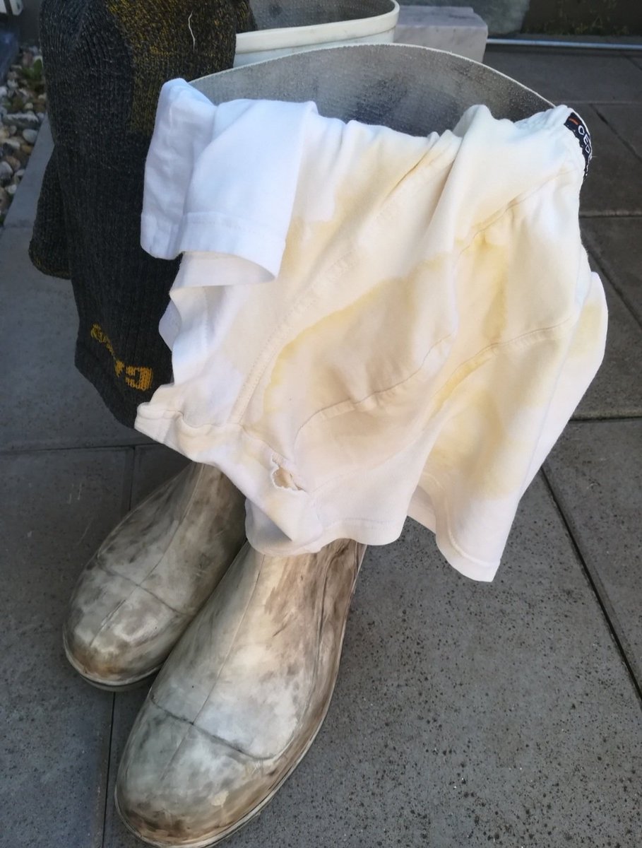 Oswald Bukowsky tweet media