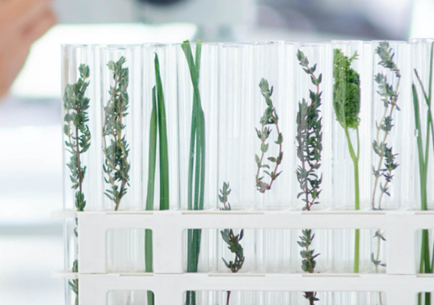 GenCanna Formulator’s Choice Reserve Oil is an excellent stock formulation that is well-characterized and ready for the next step in formulation. Just add flavor and dilute to desired potency in an MCT or other vape carrier!