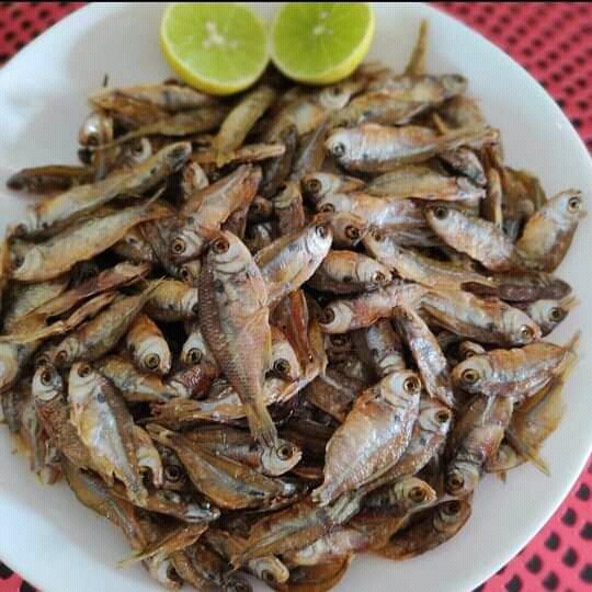 stupidjinxx's tweet photo. Era so isso pra me tirar dessa fossa agora 😔😔😔😔 #tripa #piaba https://t.co/nSL7c11Krv