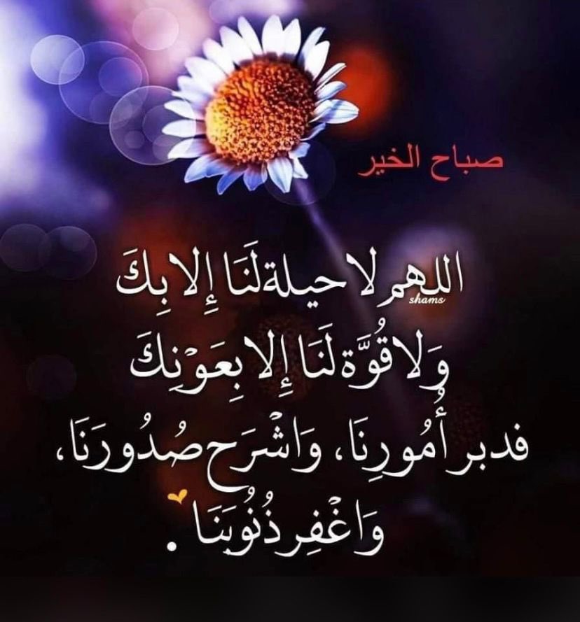 TurkyMohsen's tweet photo. #مليونية30ديسمبر #جبر_خاطر #صباح_الخير_والسعاده https://t.co/yjw68bfnBj