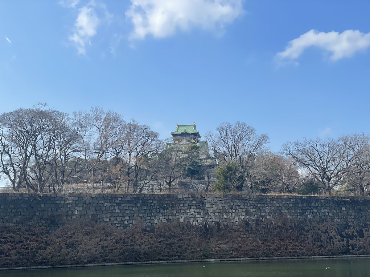 kaidance1981's tweet photo. @mac_cha_n 大阪城
#iphon12Pro
#ウチのイシガキに捧ぐ https://t.co/KrCQuFksGB