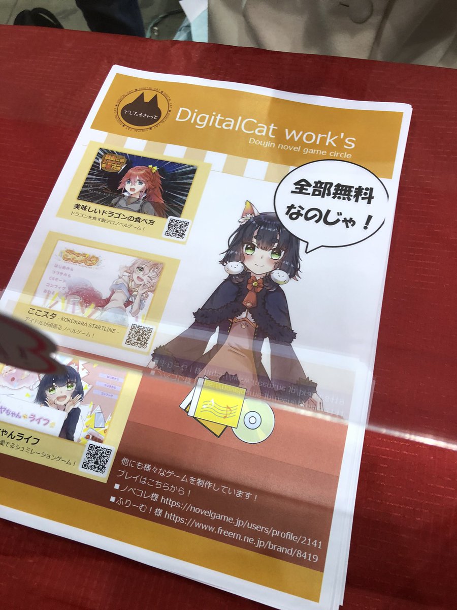 DigitalCat_Game's tweet photo. パッケージ版の配布が終了したのじゃ

あとはチラシを配っているのじゃ https://t.co/7dDwUzY7rG