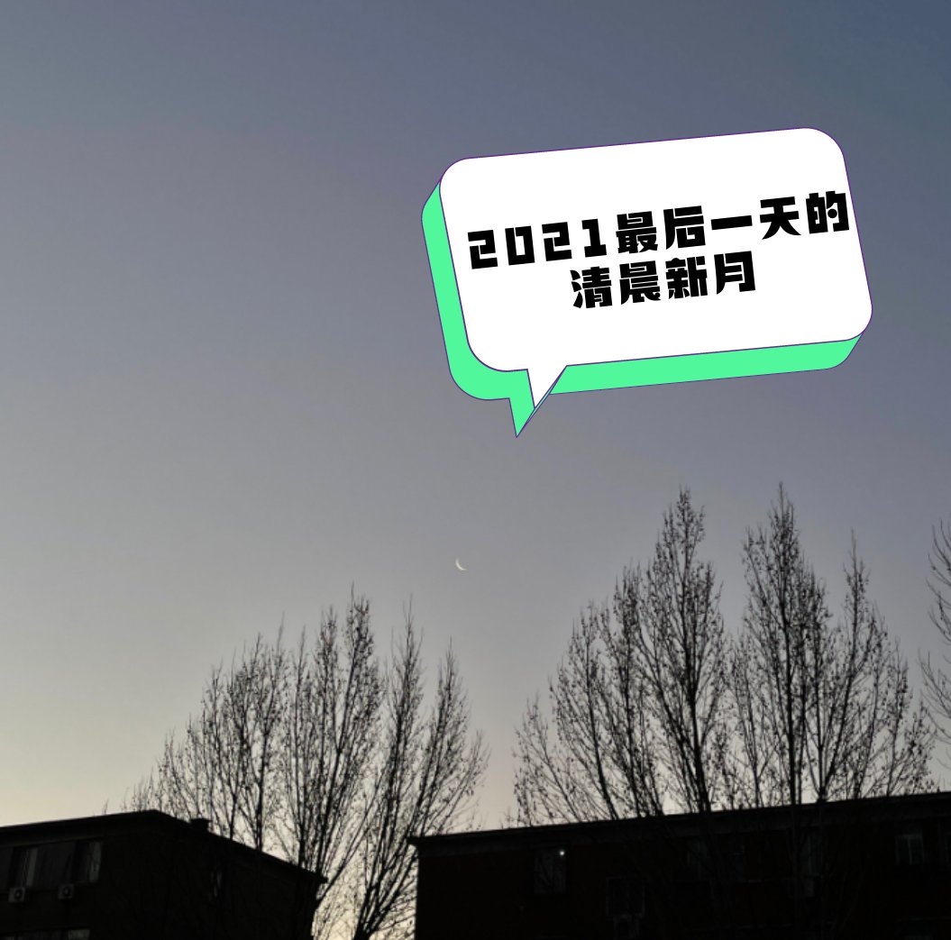 UnknownDAO_'s tweet photo. GM!!!! Last Day in 2021~ Photo by @大糖三角#6842 https://t.co/oVSLkvXEht