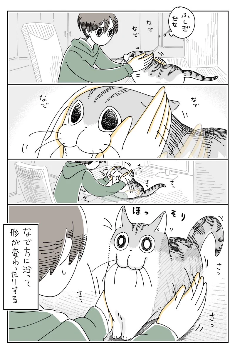 ネコはなでることによって？形が変わってしまうwww