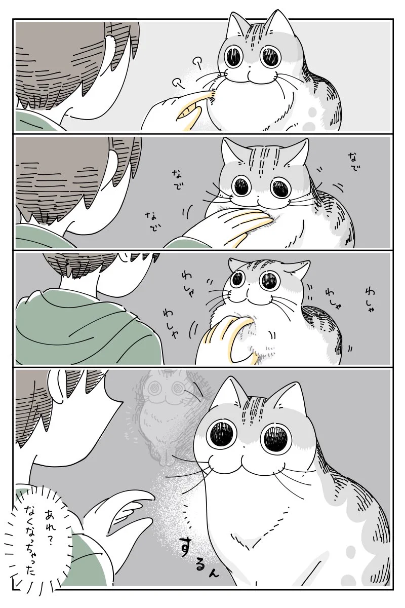 ネコはなでることによって？形が変わってしまうwww