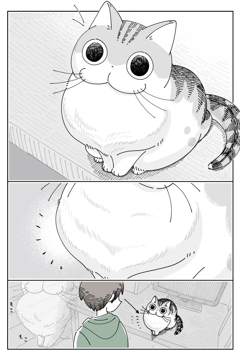 ネコはなでることによって？形が変わってしまうwww