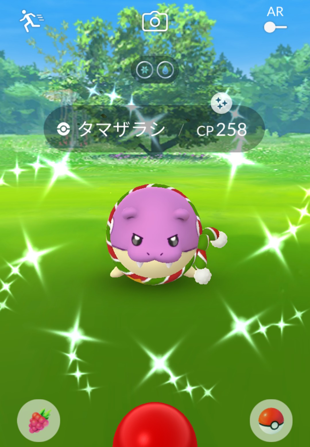 タマザラシ色違い Twitter Search Twitter