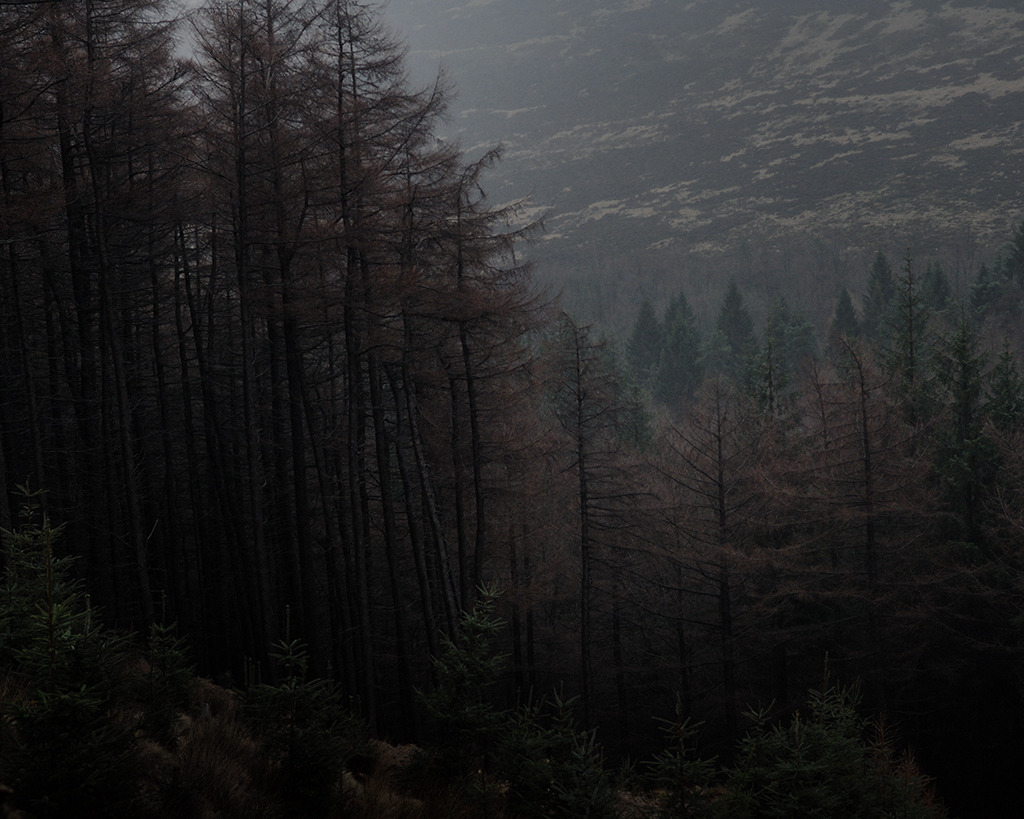 archillect's tweet image. 