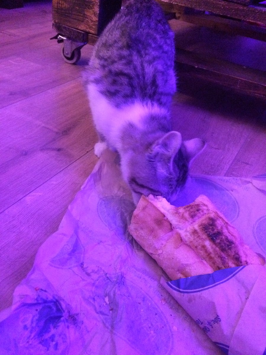 Konu kokomusti olunca kendimi tutamıyorum 😻