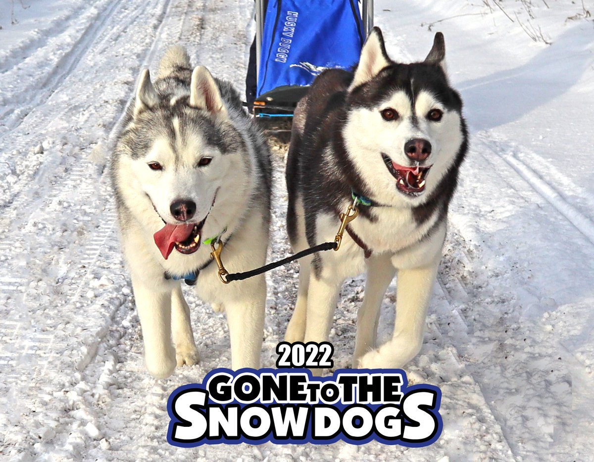 Gone to the Snow Dogs tweet media