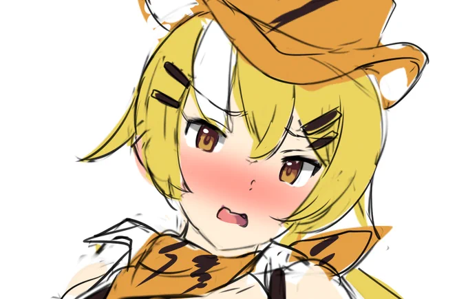 カラーラff 