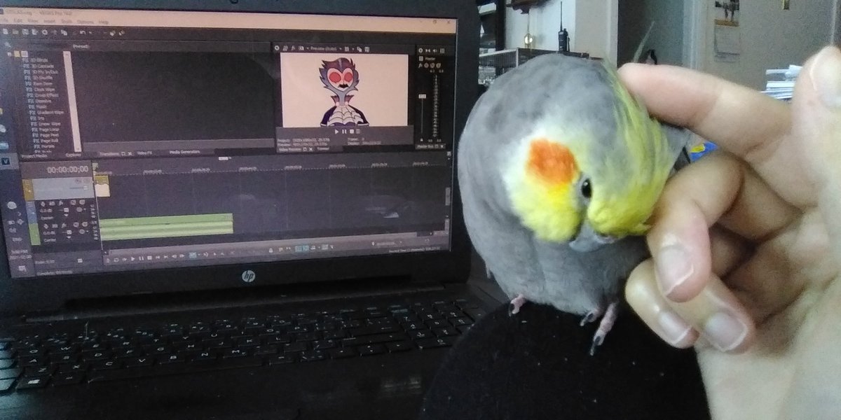 VaniBun🐰 tweet media