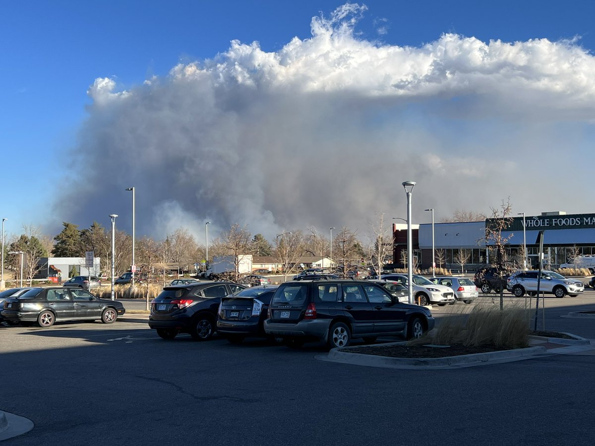 Zac Mitchell tweet media