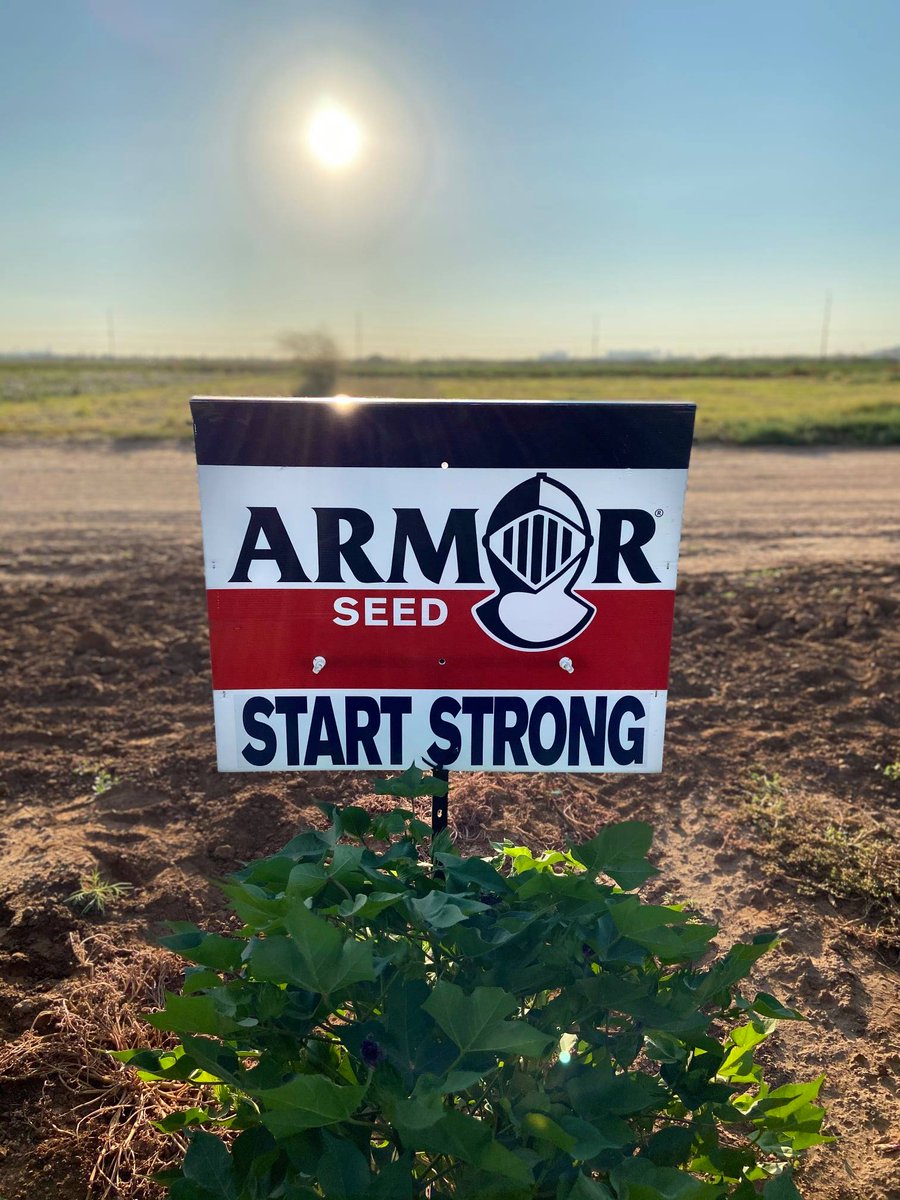#StartStrong #plant22 #ArmorBeans #ArmorCotton