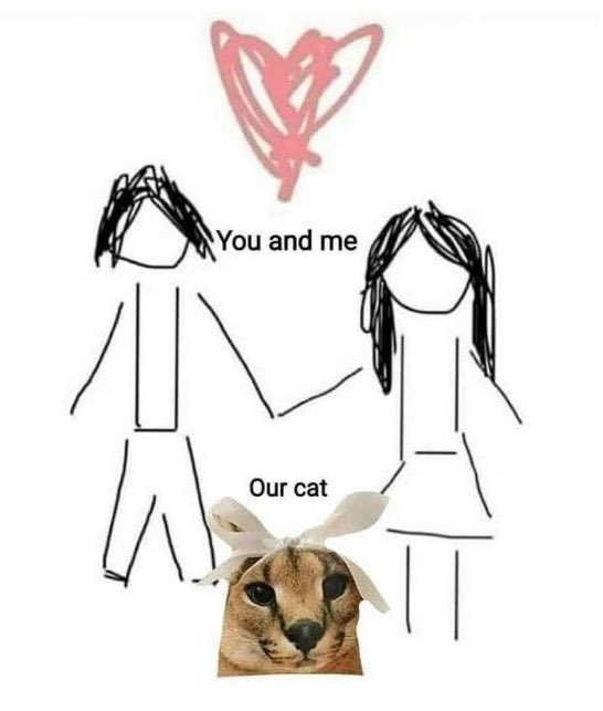 not cute & kinky memes (@cravedcuddle) on Twitter photo 