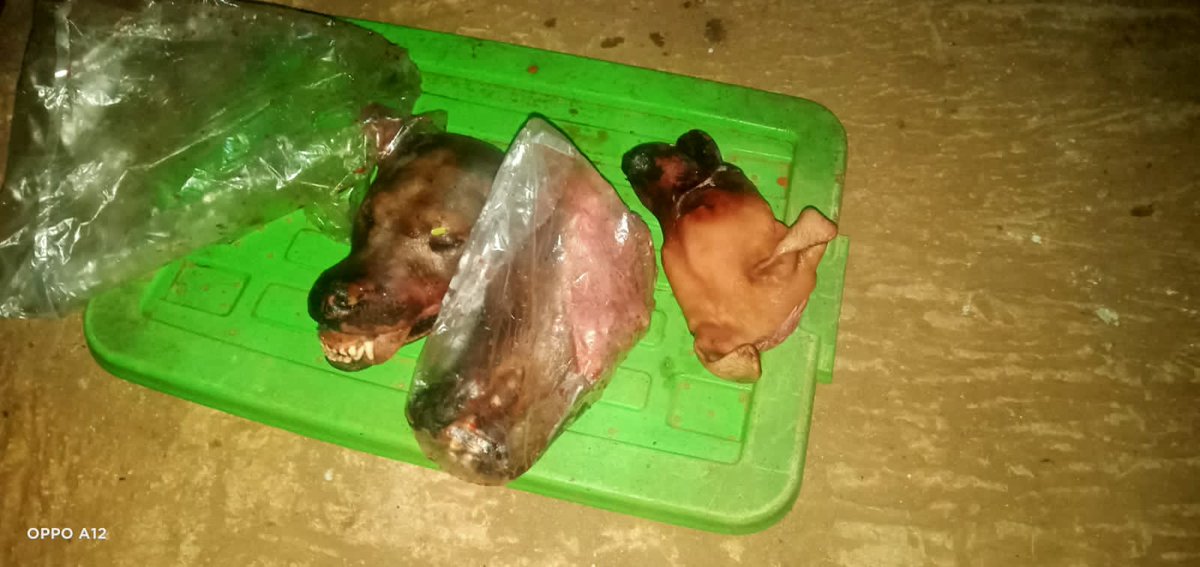 fieda_maranri's tweet photo. Forward Keras...!!!
Mlm ini pondok habib Bahar bin Ali bin Smith diteror 3 orang pakai motor dilempak kerdus + 3 kepala anjing terpotong.
Para pecundang beraninya main belakang.
#SaveUlama https://t.co/APrOL3FyCH