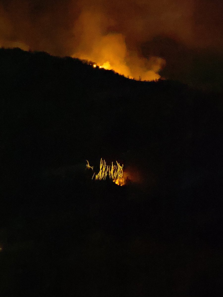 criasapiens's tweet photo. Asturias arde. Personas egoístas hasta el límite https://t.co/81sHGO25bu