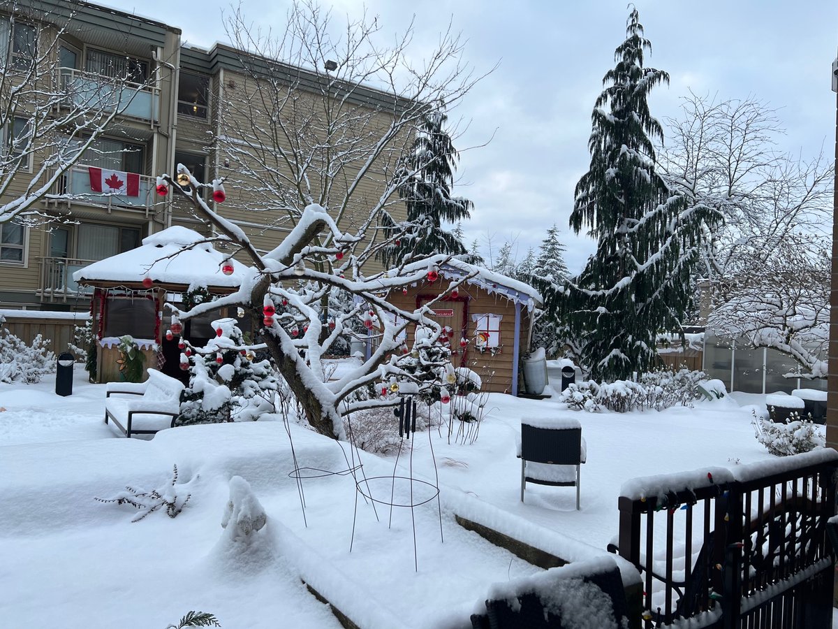 LangleyLodge's tweet photo. We want to send a shout-out to our unsung heroes of Langley Lodge, our maintenance team. Glenn and Akie are always running around the building, making sure everything runs smoothly. Here is a photo of Akie making sure our parking lot and courtyard areas are shovelled and salted. https://t.co/faoUXyv43n
