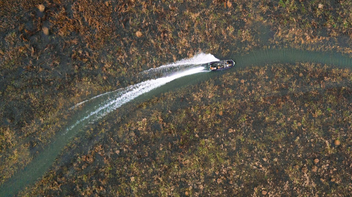 DuxWaterfowl's tweet photo. Whose weekend plans include chasing 🦆?!
#dux • #duxwaterfowl • #thenextgeneration • #ihuntdux https://t.co/GZZYX1UOzu