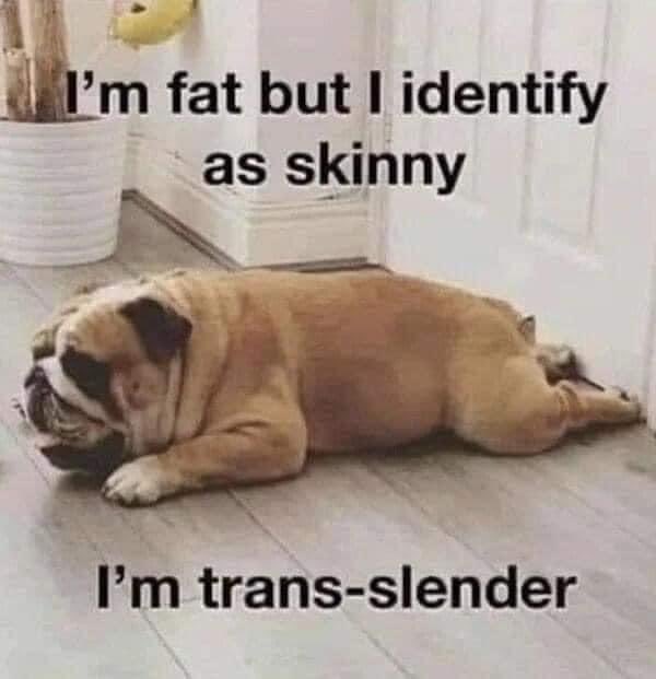 the_nasty_wench's tweet photo. #transslender โฆ https://t.co/hGXiM1gH50
