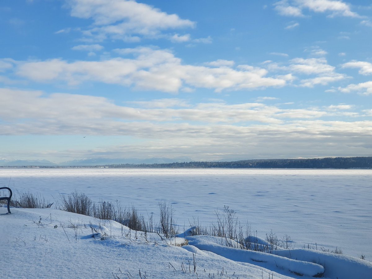 Sung Ching (Nick) Lee (@sclee_micromet) on Twitter photo Last field visit of 2021, went to our salt marsh tower with quite a bit of snow (for Vancouver). Thanks <a href="/SatriawanTin/">Tin Satriawan</a> for the help. Last field visit of 2021, went to our salt marsh tower with quite a bit of snow (for Vancouver). Thanks <a href="/SatriawanTin/">Tin Satriawan</a> for the help.