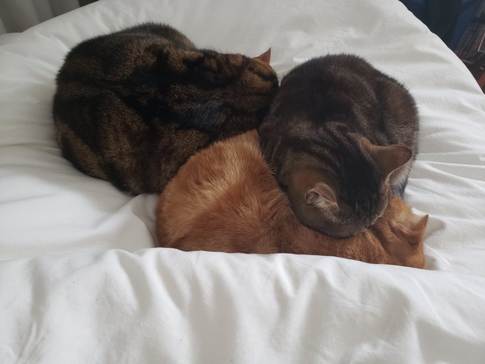 また起きたらこれ 