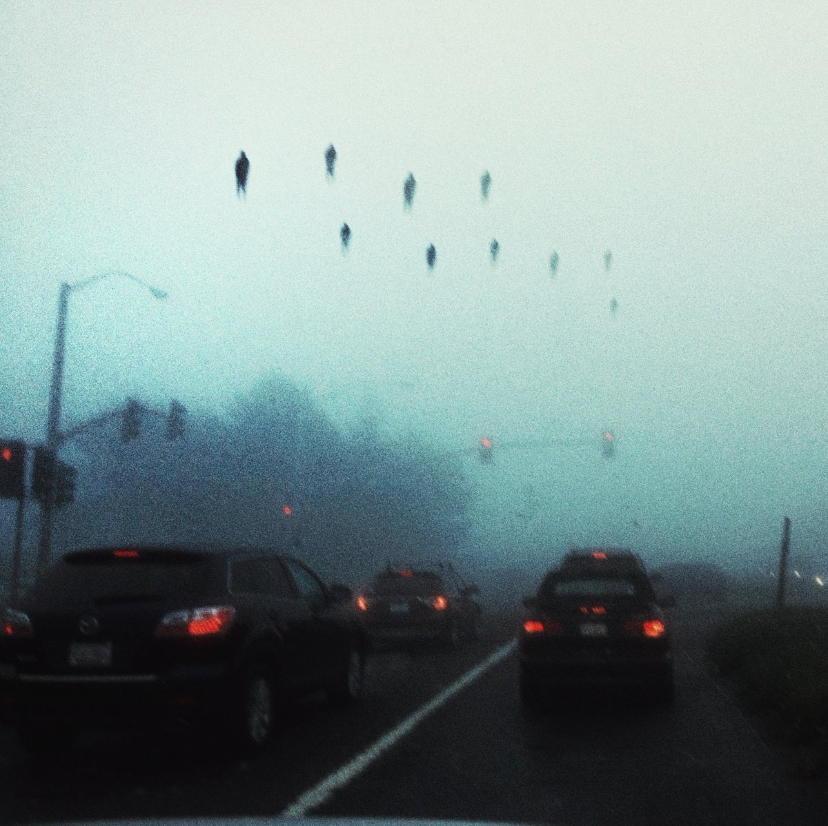 benadryl tweet media