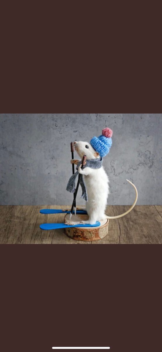 Mehux71's tweet photo. @LorisColella @PierrreLvt03 Loris au ski 😂 https://t.co/nzmsFu4O6H
