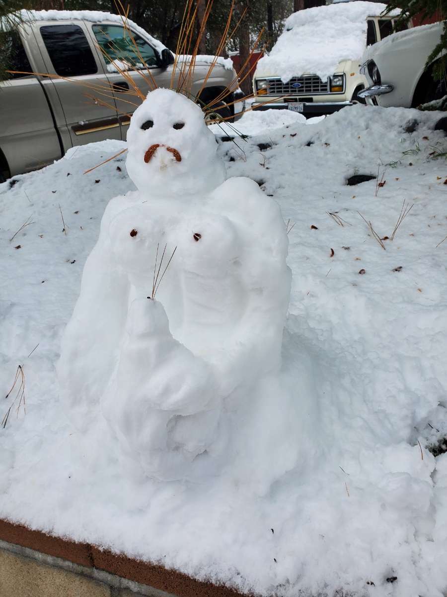 I’m snowed in with my girlfriend, we made a raunchy snow man and are eating pizza rolls and watching lord of the rings later. I couldn’t be happier❤️