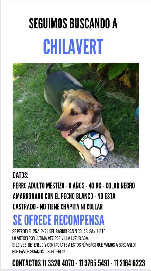 aniimeier's tweet photo. Les pido que no dejen de compartir su carita, lo extrañamos mucho.
Gracias a todos los que nos están ayudando 💙🤍 https://t.co/jalBGJWHON