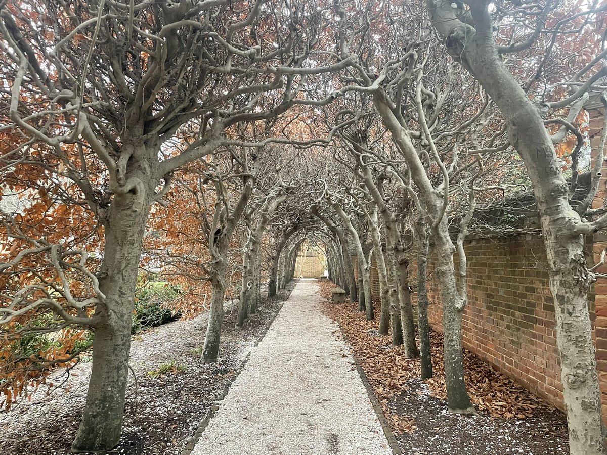 LilSubHomestead's tweet photo. Colonial Williamsburg was amazing!! #travel #holidays2021 https://t.co/J3awhXeKsV