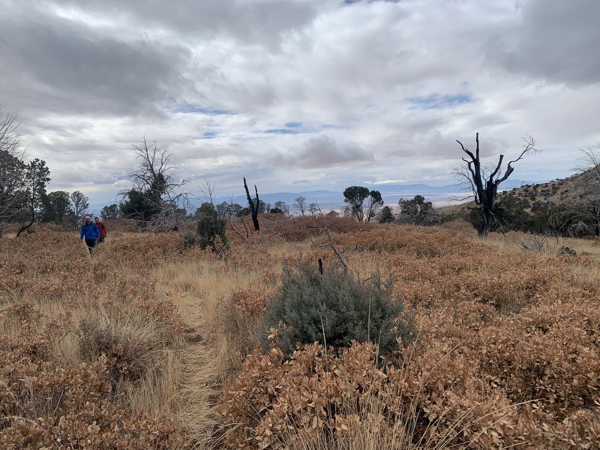 logankstewart's tweet photo. Day 3 @ Dog Canyon. 12.5 miles &amp; over 3000’ elevation change to summit. “O God of our salvation, the hope of all the ends of the earth and of the farthest seas; the one who by his strength established the mountains.” Ps 65:5&amp;6. @Dustinwi https://t.co/YRqJhpPzU5