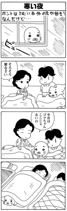年末年始は毎朝ゴマちゃん!

ゆたんぽゴマちゃん。

今年もたくさんのゴマちゃん愛をありがとうございます!
みなさま良いお年を!
#毎朝ゴマちゃん 