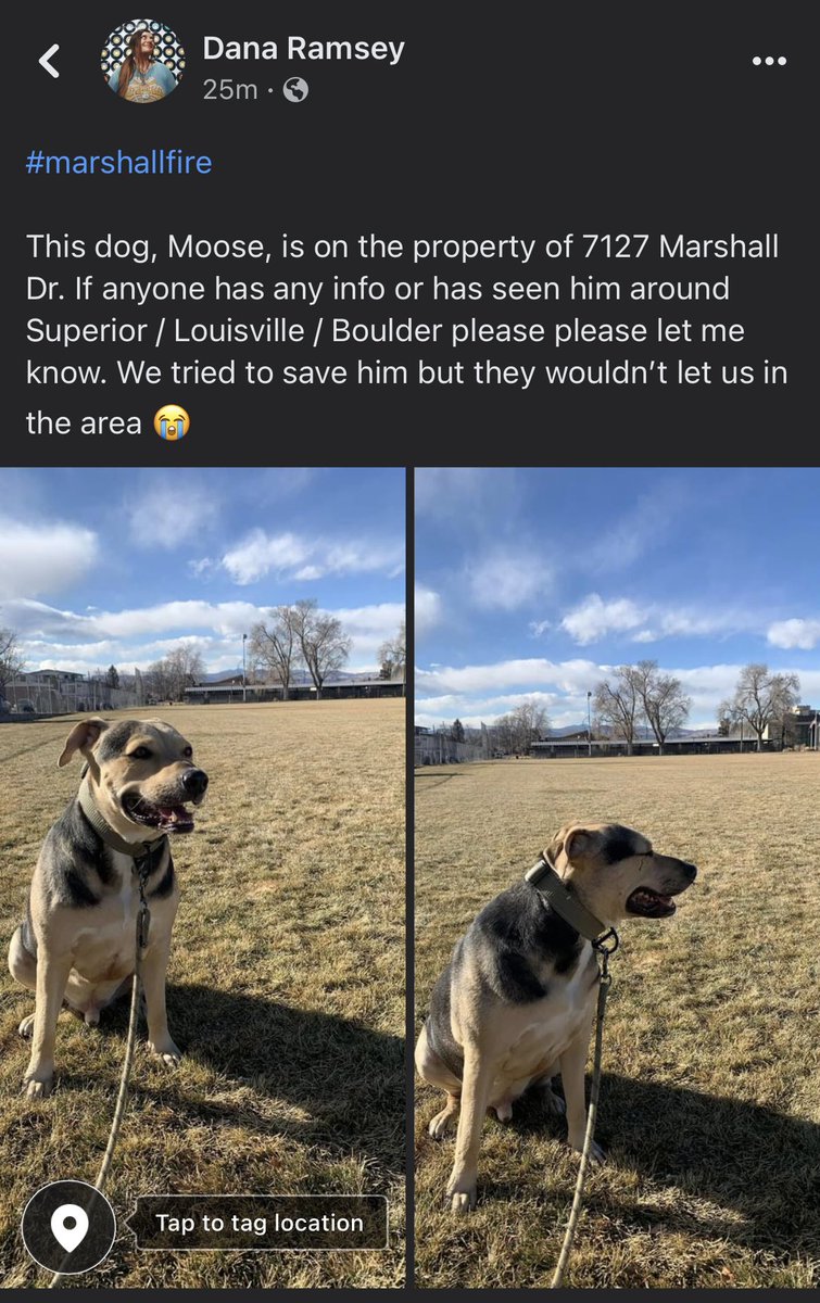 please share. we are absolutely devastated that we couldn’t get to him before they shut down the area 

#marshallfire