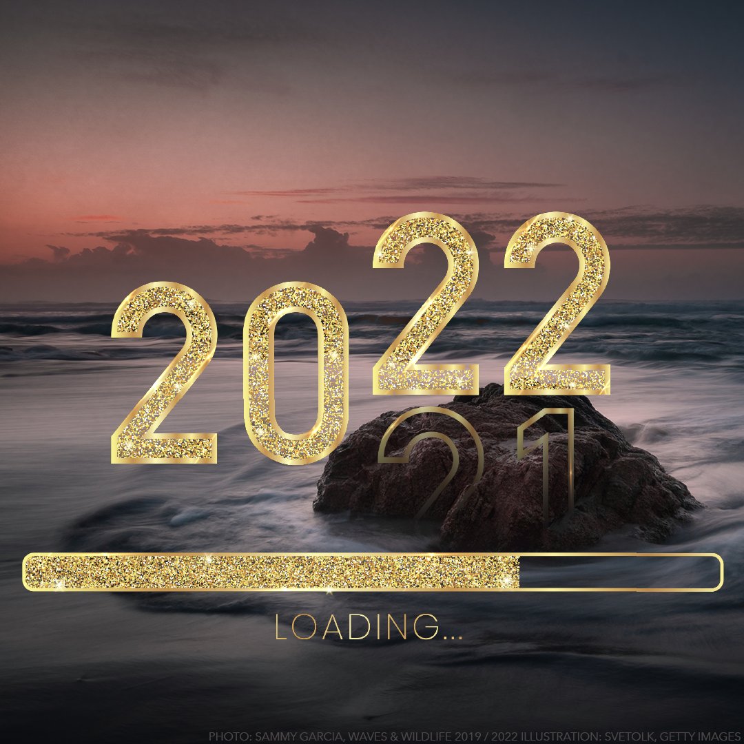 SaveOurShores's tweet photo. As we prepare to say goodbye to 2021 and welcome 2022, the Team at Save Our Shores wants to once again express how grateful we are to everyone who shares our vision for clean shores, healthy habitats, and living waters. 
Read our New Year's Newsletter at https://t.co/7vNHGo53c0 https://t.co/XoMTYXqL8E