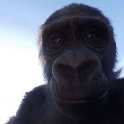 requxf's tweet image. 👿

 #NewProfilePic