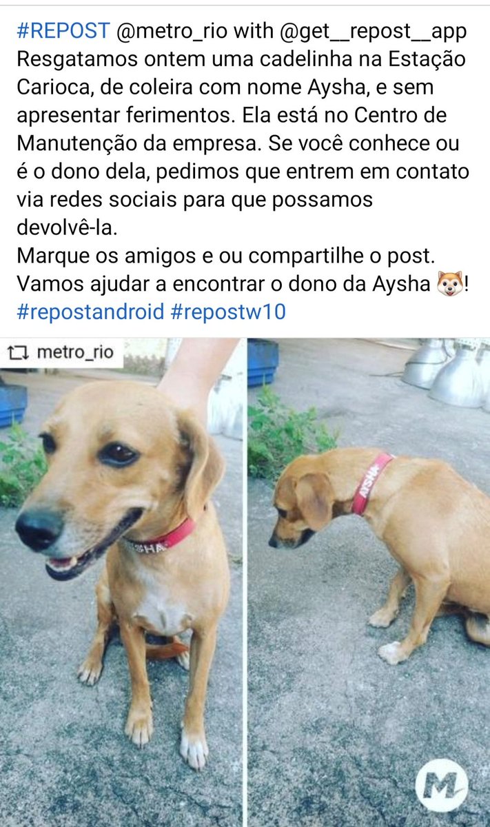 deisemg's tweet photo. Cadê o meu dono? https://t.co/1VIEioDFqk
