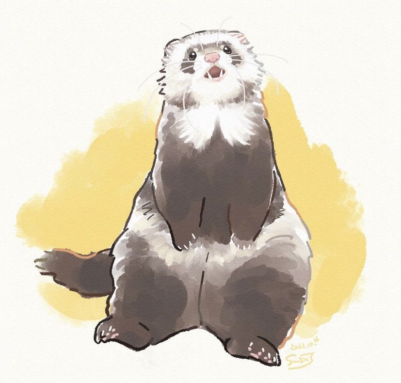 趣旨違いますが自分で選べなかったので…インスタで反響があったかなと思ういたちのイラストです
#2021年自分が選ぶ今年の4枚