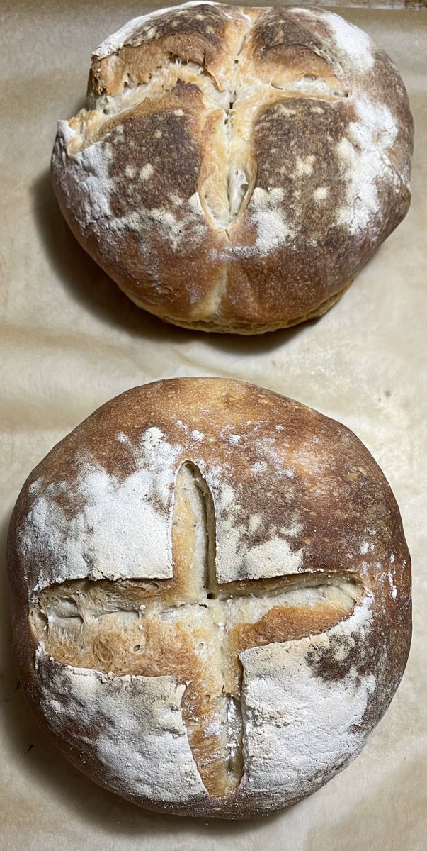 DrKWassel's tweet photo. Made some naturally leavened (no extra yeast) sourdough tonight. I’m really happy with my starter and these loaves. #PABakes #PoliSciBakes https://t.co/K1jRaolfkm