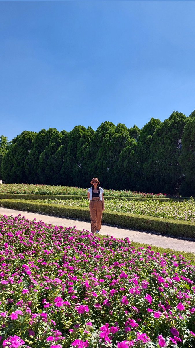 GaabeeBM's tweet photo. Flowers Over Boys ¿o como era? 🌷 https://t.co/RLQjHcvluR