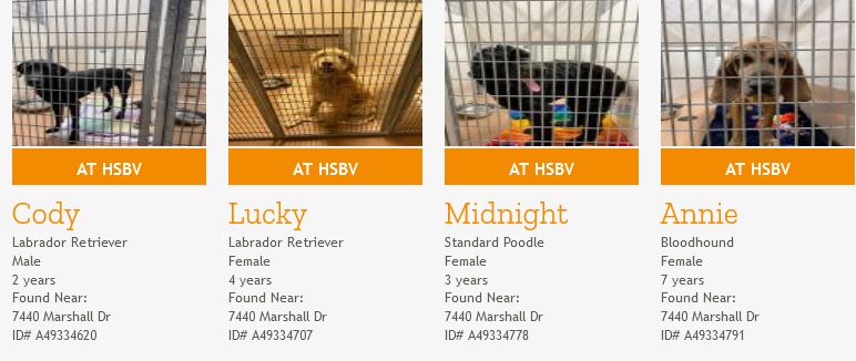 RealMiBaWi's tweet photo. These dogs from Dog Tag at Marshall Road are evacuated to the Humane Society of Boulder Valley, 2323 55th St, Boulder, CO 80301

#MarshallFire  #boulder #colorado #Animals #Pets #AnimalRescue #FOUNDPETS https://t.co/n0bQBji7Rq