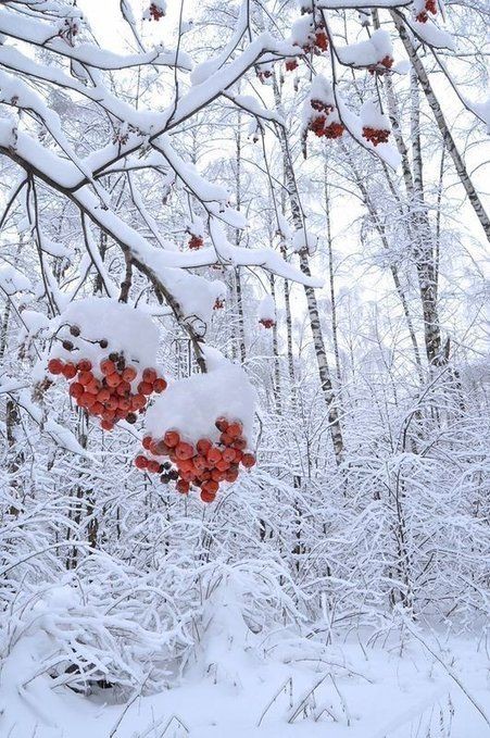 RohitMor_1's tweet photo. Nothing is impossible for God.

#naturelovers 
#NaturePhotography https://t.co/iLaM7uWXIu https://t.co/wAgOGvdLmH